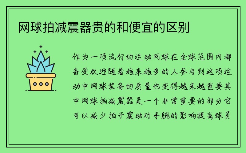 网球拍减震器贵的和便宜的区别