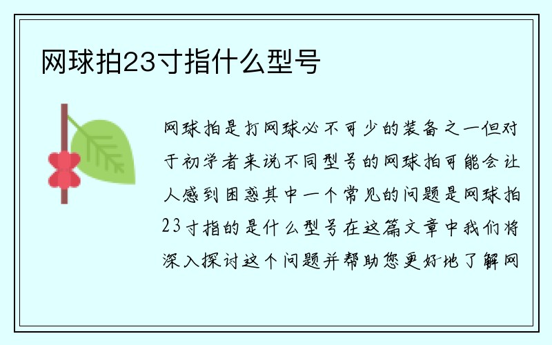 网球拍23寸指什么型号