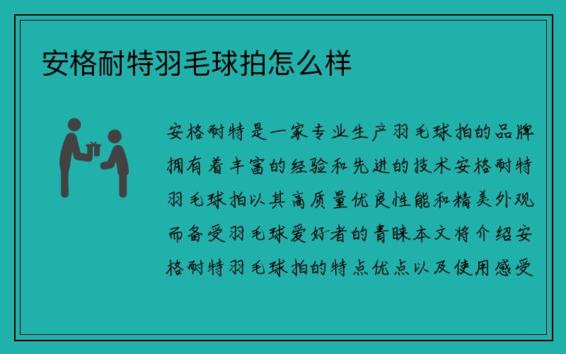 安格耐特羽毛球拍怎么样