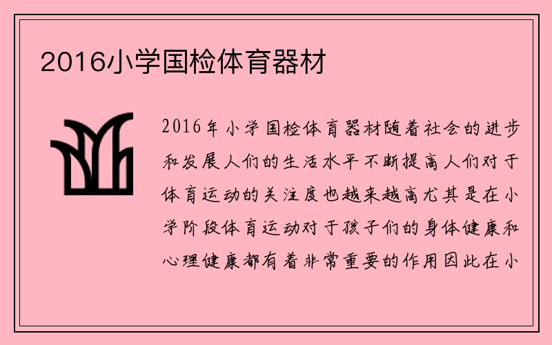 2016小学国检体育器材