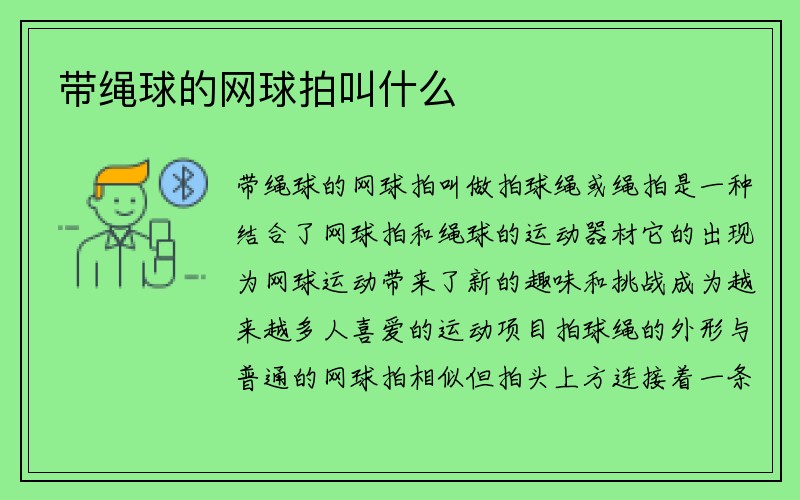 带绳球的网球拍叫什么