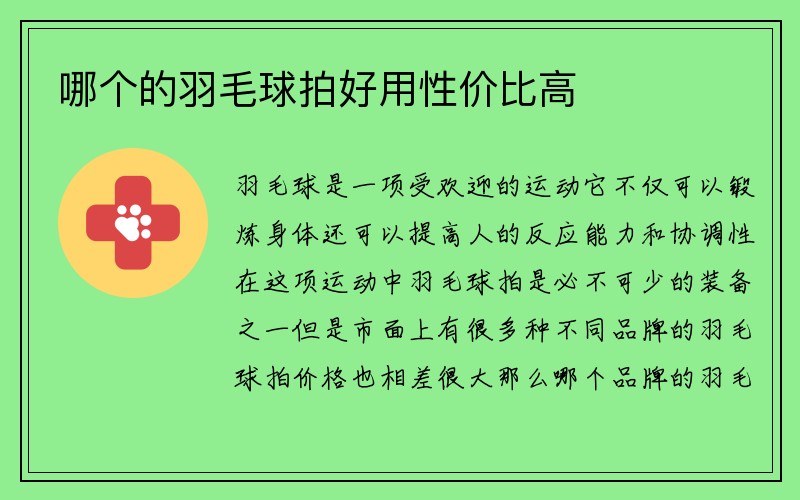 哪个的羽毛球拍好用性价比高