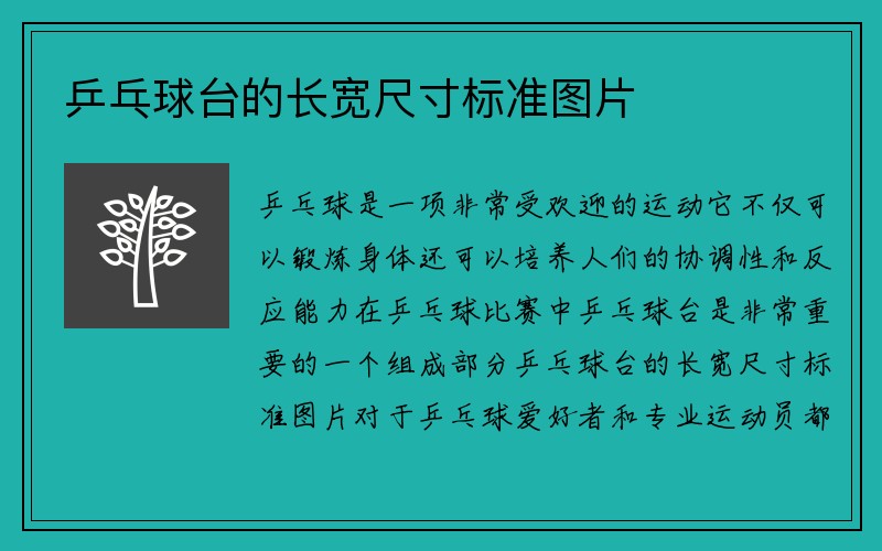 乒乓球台的长宽尺寸标准图片