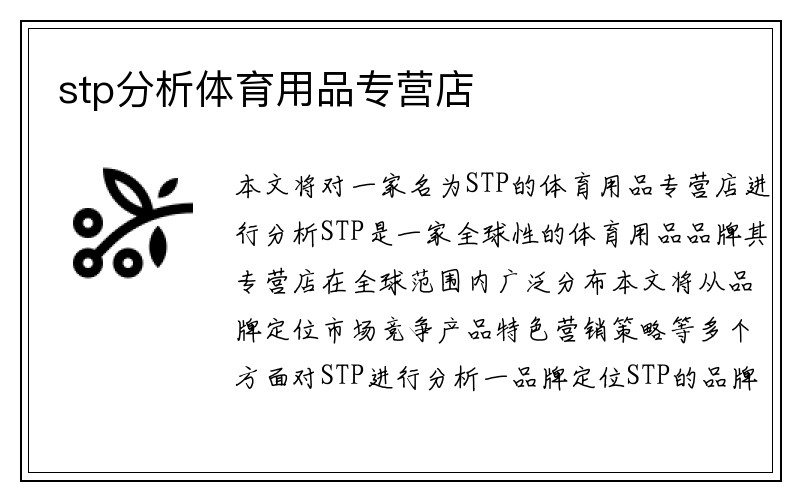 stp分析体育用品专营店